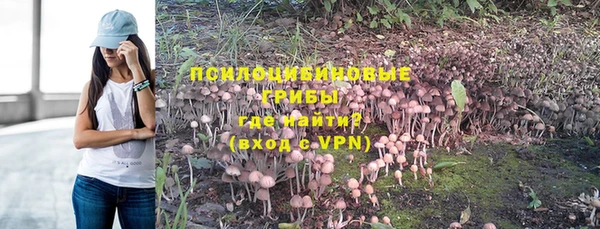 метадон Медногорск