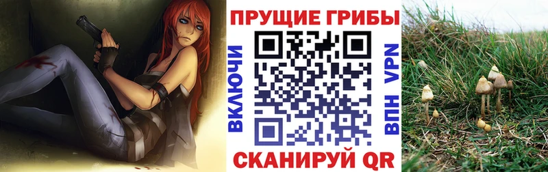 даркнет сайт  Тутаев  Галлюциногенные грибы Psilocybe 